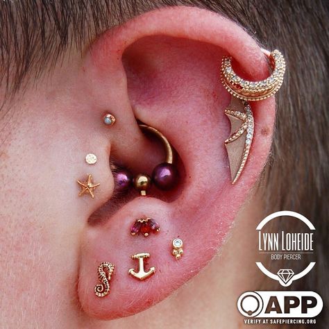 Body Gems, Anti Tragus Piercing, Anti Tragus, Ear Style, Ear Party, Tragus Piercing, Some Body, Bat Wing, Body Piercings