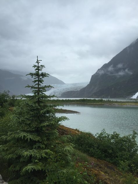 Juneau Alaska Photography, Juneau Alaska Aesthetic, Alaskan Landscape, Alaskan Summer, Alaskan Mountains, Alaskan Wildlife, Alaskan Wilderness, Moving To Alaska, Alaska Photography