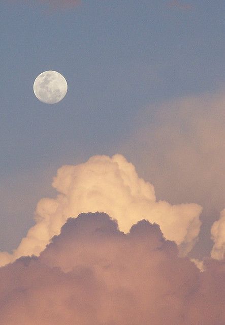 Tickled Pink Moon - taken in 2005, in Western Australia. Image Zen, Grafika Vintage, Fotografi Alam Semula Jadi, Pink Moon, Pretty Sky, To The Moon And Back, Sky And Clouds, Alam Semula Jadi, Beautiful Sky