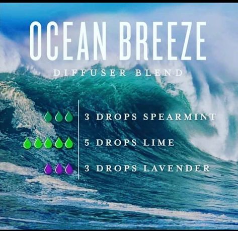 Ocean Scent, Doterra Diffuser Blends, Essential Oil Combinations, Essential Oil Diffuser Blends Recipes, Young Living Essential Oils Recipes, Spearmint Essential Oil, Essential Oils Guide, Yl Essential Oils, Essential Oil Diffuser Recipes