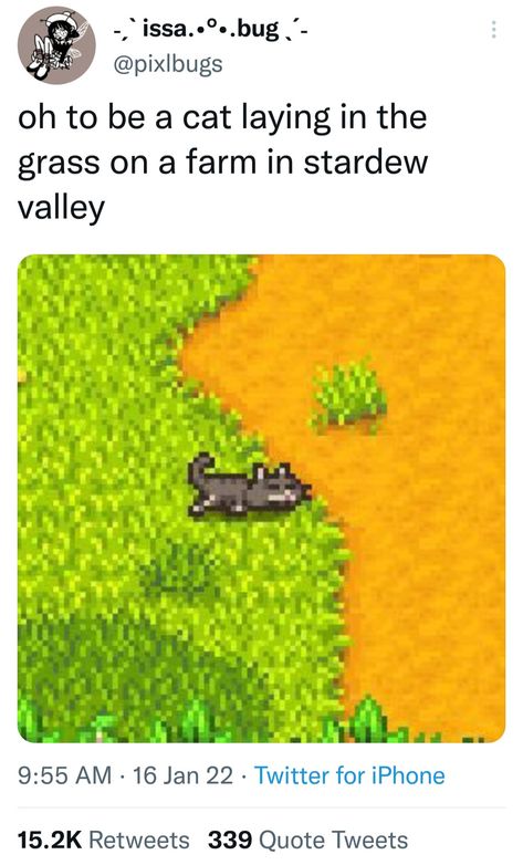 Stardew Valley Humor, Stardew Valley Memes Funny, Stardew Valley Funny, Stardew Valley Pfp, Stardew Valley Oc, Stardew Valley Crochet, Stardew Valley Memes, Very Tired, Stardew Valley