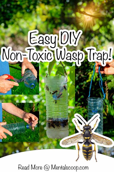 Easy DIY Non-Toxic Wasp Trap! Wasps buzzing around your backyard barbecue or invading your peaceful porch can turn a relaxing day into a frantic battle. Commercial wasp traps often contain toxic chemicals harmful to both Wasp Trap Bait, Wasp Trap Diy, Homemade Wasp Trap, Wasp Catcher, Get Rid Of Wasps, Wasp Trap, Wasp Traps, Wheat Beer, Toxic Chemicals