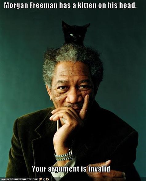 Morgan Freeman has a kitten on his head. Your argument is invalid  (04.02.19) Celebrities With Cats, جوني ديب, Septième Art, I Love Cinema, Morgan Freeman, A Black Cat, Cat People, Cat Portraits, 인물 사진