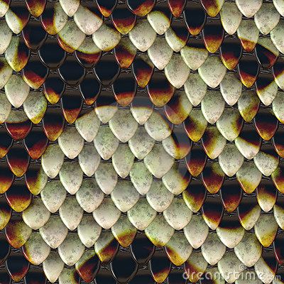 Snake Scales Background Clip Art Drawings, Skin Illustration, Reptile Scales, Snake Scales, Snake Reptile, Creative Textiles, Texture Inspiration, Snake Design, Pattern Images