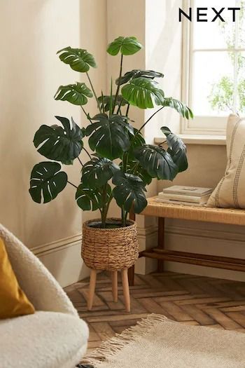 Living Room | Next UK Indoor Plants Styling Living Rooms, Interior Plants Decoration, Plante Monstera, Indoor Plants Styling, Rattan Planters, Casa Retro, Fake Plants Decor, Apartment Plants, Living Room Plants