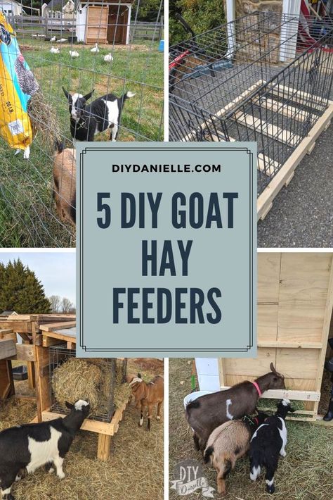 DIY Goat Hay Feeders - 5 ideas for goat hay feeders that you can make!  #goats #DIY #homesteading #woodworking #upcycling Diy Hay Feeder For Cows, Diy Goat Hay Feeder, Goat Pens, Diy Hay Feeder, Sheep Feeders, Goat Hay Feeder, Goat Feeder, Goats And Sheep, Goat Playground