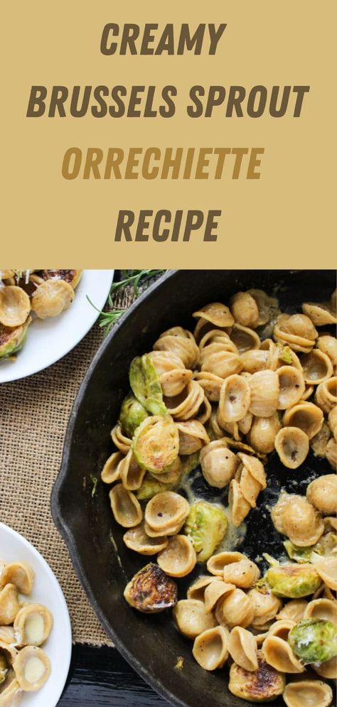 Creamy Brussels Sprout Orrechiette Recipe Orrechiette Recipes, Vegetarian Recipes Dinner Healthy, Freezer Dinners, Brussels Sprout, Whole Wheat Pasta, Vegetarian Meal, Tasty Pasta, Vegetarian Meals, Grow Light