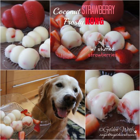 Coconut Strawberry Frosty KONG: Sugar The Golden Retriever Strawberry Frosty, Dog Kong, Kong Treats, Halloween Dog Treats, Kong Recipes, Diy Coconut, Diy Dog Food, Frozen Dog Treats, Coconut Oil For Dogs