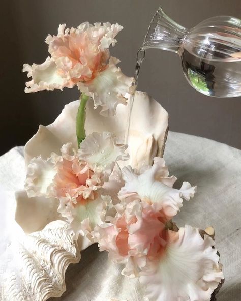 Madison Hartley on Instagram: “Passionate about sea themed floral arranging 🐚🤍” Seaweed Bouquet, Ocean Bouquet, Under The Sea Flower Arrangements, Mermaid Theme Flower Arrangements, Sea Theme Flower Arrangements, Sea Themed Bouquet, Australian Brides, Ocean Theme Party, Wedding Ceremony Backdrop