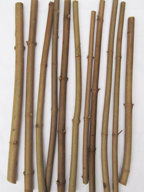 10 x 40cm Long Natural Sycamore Wood Branches Sticks Bark Wood Craft Decoration These Sycamore sticks have been collected from our Woodlands in Surrey.  Our woodlands are completely organic and we do not use pesticides or insecticides.  The sticks are cut as part of our woodland management plan so no damage to the tree is caused.  These sticks can be used on craft projects, decorations, card making and other projects.  Sycamore has a beautifully rich light brown bark with gold overtones and stunning bark variation and details.  Our Sycamore branches are naturally straight. Note:   You will receive 10 branches of approx 40cm long with diameters of 10mm to 15mm.  These sticks are green (freshly cut).  Note the branches you receive will vary slightly from those shown in the picture as they ar Woodland Management, Sycamore Wood, Driftwood Branch, Wood Branch, Craft Decoration, Wood Sticks, Craft Art, Wood Craft, Whittling