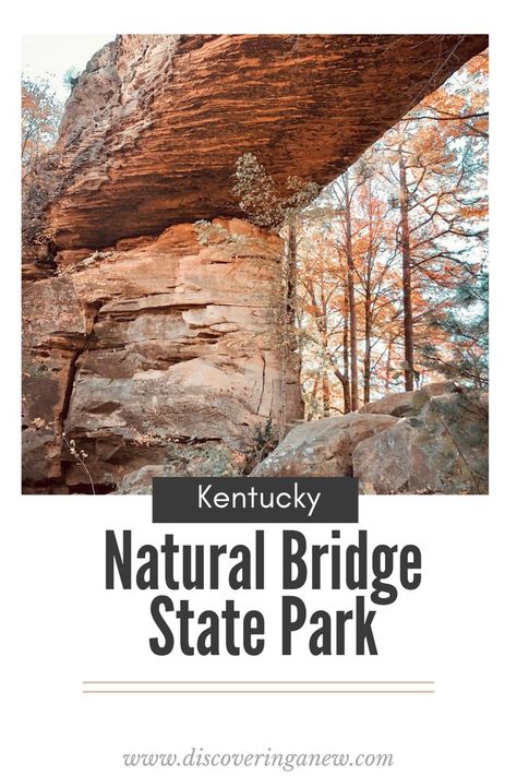 Travel to the Eastern side of the state to Slade, Kentucky to Daniel Boone National Forest, only an hour from Lexington. Here you will find a true gem, Natural Bridge State Park, known for its sandstone arches and beautiful hiking trails. Natural Bridge Kentucky, Kentucky Vacation, Daniel Boone National Forest, Weekend Getaways For Couples, Kentucky Travel, Couples Weekend, Red River Gorge, Daniel Boone, Hiking Spots