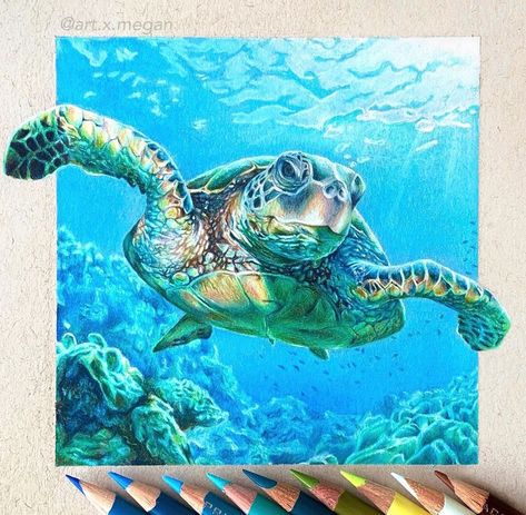 Sea Turtle Drawing Realistic, Sea Turtle Art Painting, Sea Turtle Drawings, Simple Turtle Tattoo, Turtle Dancing, Turtle Aesthetic, Cute Turtle Drawings, Sea Turtle Artwork, Sea Turtle Drawing