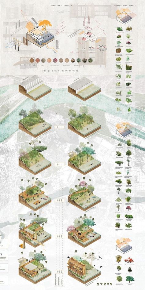 Architectural Presentation Boards, Landscape Architecture Presentation, Architecture Development, Landscape Diagram, University Of Hong Kong, Faculty Of Engineering, Landscape Architecture Diagram, Ubon Ratchathani, Faculty Of Architecture