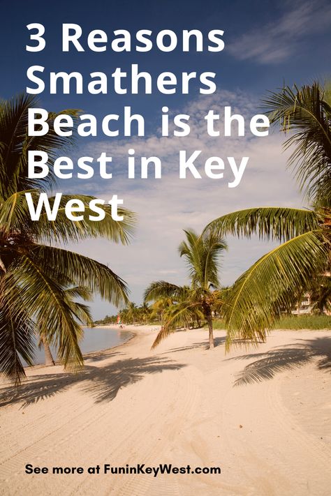 Find out why this is the best beach in Key West. Key West Activities, Key West Travel Guide, Map Of Key West Florida, Map Of Key West, Duval Street Key West, Key West Beaches, Bahia Honda State Park, Smathers Beach Key West, Key West Fl