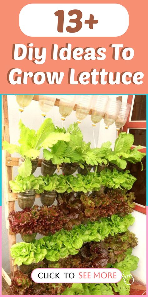 Transform your space into a lettuce paradise with these innovative DIY ideas for growing lettuce right at home. 🥗 Explore vertical lettuce towers, hanging lettuce gardens, or even windowsill planters for a continuous supply of fresh greens. 🌿 Get hands-on with nature and experience the joy of cultivating your own lettuce from seed to plate. #DIYLettuceGarden #UrbanGardening #HealthyLiving Mini Rock Garden, Planting Lettuce, Grow Lettuce, Fall Landscaping, Mailbox Landscaping, Growing Sweet Potatoes, Easy Diy Ideas, Planter Project, Growing Lettuce