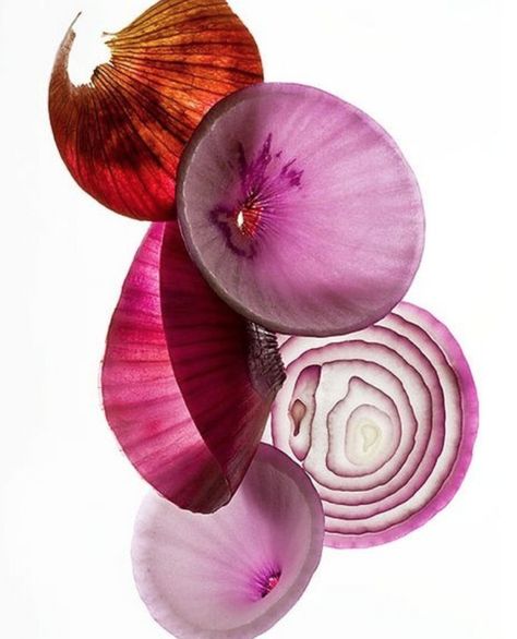 The most important fact about onions is that 75% of their nutrients are found in the top two layers, so USE them and don’t peel them off. Red onions are oh-so-slightly more nutrient-rich than white onions. Red onions are better used in dishes such as salads, while white onions are sweeter and milder. #8greens #greenbeauty #inseason #superfood Onion Photography Art, Onion Photo, Onion Photography, Onion Illustration, Onion Art, Food Photography Inspiration, Foto Art, Natural Forms, Patterns In Nature