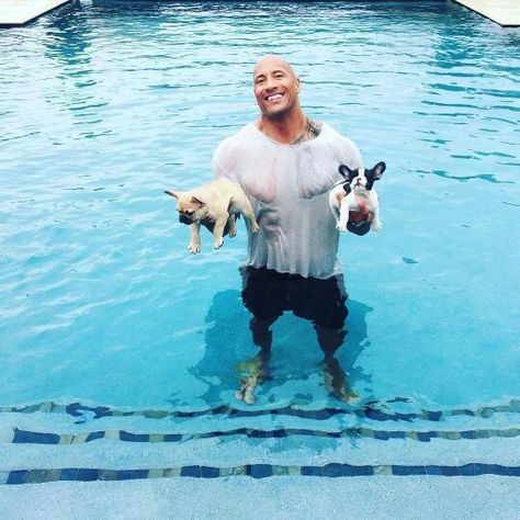 Brutus, THE ROCK & Hobbs Johnson. Papa Rock saving lives. Baby French Bulldog, Rock Johnson, The Rock Dwayne Johnson, Wet T Shirt, Dwayne The Rock, French Bulldog Puppies, Dwayne Johnson, Heidi Klum, Bulldog Puppies