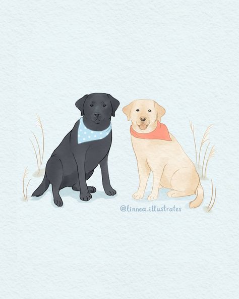 A commission I did of the dogs Fynn and Nova for @em.arv a while ago! 🐕 💙 I really love how it turned out but totally forgot to post it on my instagram :) • • • #animalart #cutedoggosofinstagram #labradorlovers #petartcommission #petartist #custompetportrait Labrador Illustration, Cute Labrador, Pet Artist, Labrador Mix, Personalized Art, Handmade Pet, Labrador Puppy, Dog Tattoo, Floral Elements