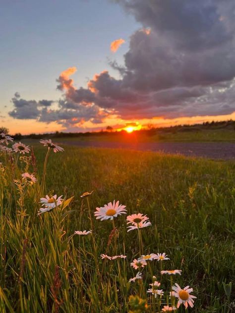 Wisconsin, The Sun, Sun