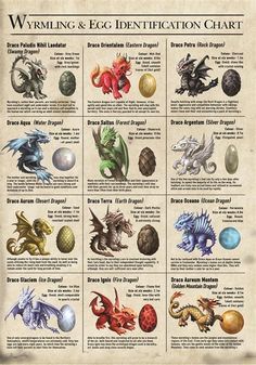 Anne Stokes Dragon, Creaturi Mitice, Types Of Dragons, Eastern Dragon, Anne Stokes, Water Dragon, Dragon Pictures, Dragon Egg, Dungeons And Dragons Homebrew