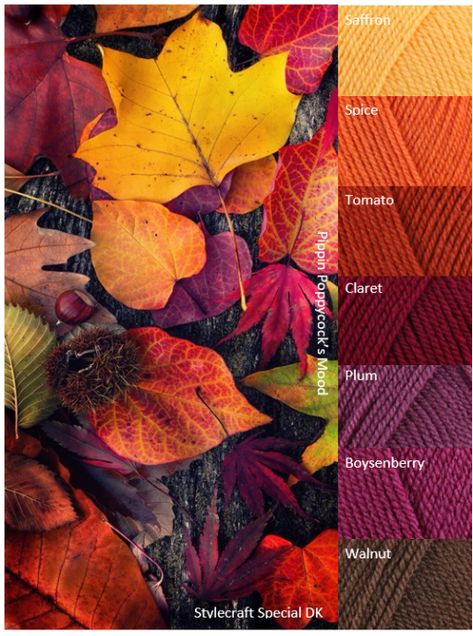 Hello Fall Colours That Go Together, Yarn Color Combinations, Colors Of Autumn, Color Schemes Colour Palettes, Fall Color Palette, Design Seeds, Color Palette Design, Color Inspo, Fall Color