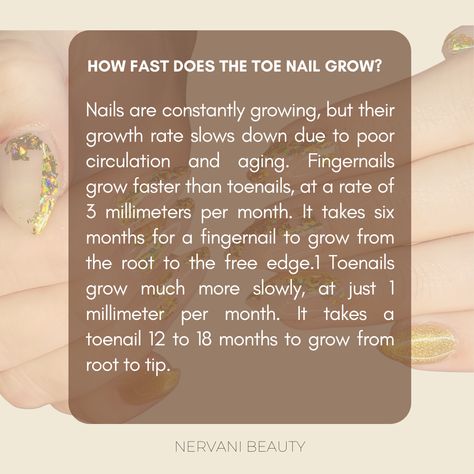 How fast does the Toe Nail Grow? Nails are constantly growing, but their growth rate slows down due to poor circulation and aging. Fingernails grow faster than toenails, at a rate of 3 millimeters per month. It takes six months for a fingernail to grow from the root to the free edge.1 Toenail grows much more slowly, at just 1 millimeter per month. It takes a toenail 12 to 18 months to grow from root to tip. Link in Bio👆️ for more details #itsnervani #hudsonvalleyny #orangecountyny #845ny Grow Toenails Faster, Poor Circulation, How To Grow Nails, Nail Growth, Oral Health Care, Slow Down, Get Nails, Oral Health, Toe Nails