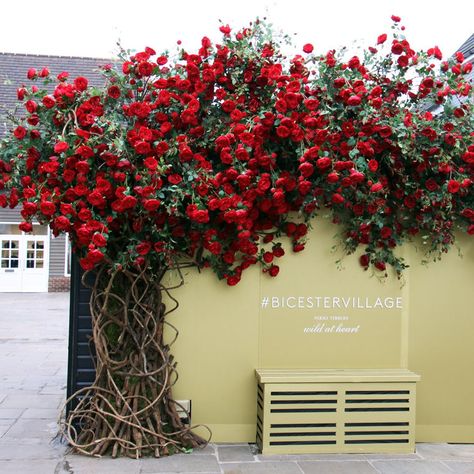 Wedding Installations, Bicester Village, Valentine Backdrop, Luxury Florists, Rose Tree, Fall Arts And Crafts, Christmas Props, Luxury Wedding Decor, Floral Art Design