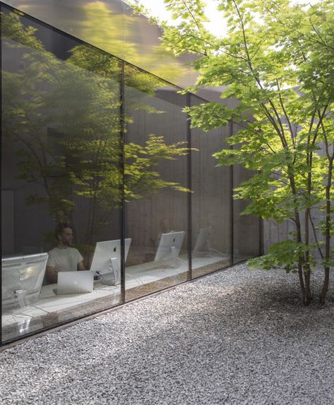 STUDIO MIKLAVC A07 Japanese Gardens Design Ideas, Small Japanese Garden, Mansion Exterior, Living Area Design, House Cladding, Courtyard Design, Japanese Garden Design, Garden Villa, Modern Office Design