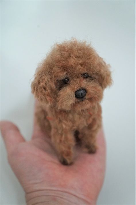 Needle Felted Poodle, Chenille Stem Animals, Wool Felting Animals, Plush Craft, Red Poodles, Felted Dog, Needle Felting Diy, Needle Felted Dog, Doll House Crafts