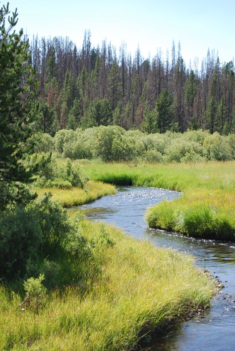 Klamath County, OR Untouched Nature, Humboldt County Aesthetic, Oregon Countryside, Oregon Nature Wallpaper, Oregon Landscape Photography, Oregon Scenery, Klamath Falls, Amazing Places On Earth, New Earth