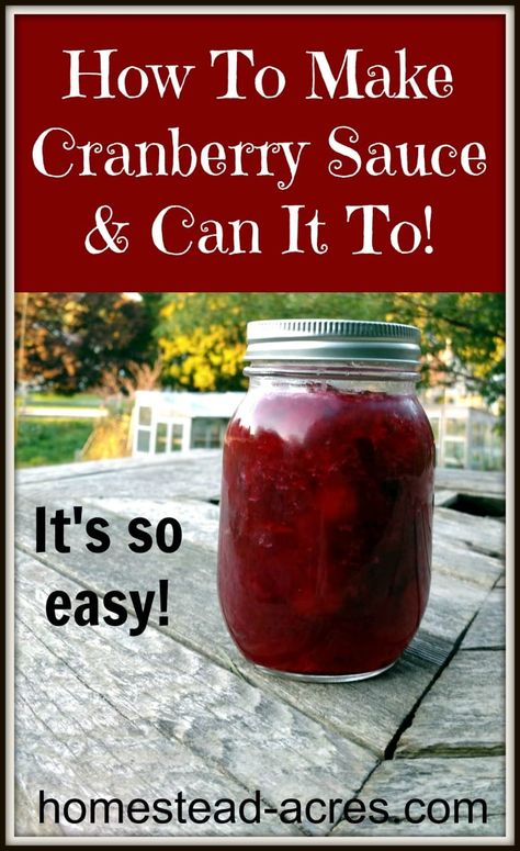 Canning Cranberry Sauce, Make Cranberry Sauce, Cranberry Preserves, Homemade Cranberry Sauce Recipe, Cranberry Sauce Thanksgiving, Easy Cranberry Sauce, Cranberry Orange Sauce, Canned Cranberries, Easy Canning