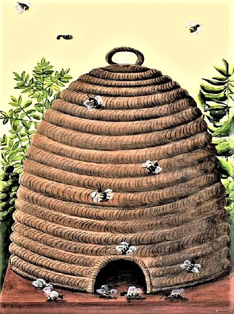 Early American Gardens: Garden Beehives Medieval Bestiary, Bee Book, Bee House, American Garden, Honey Bee Hives, Bee Skep, American Beer, Bee Sting, Vintage Bee