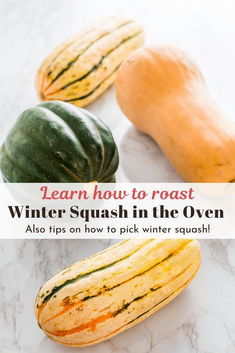 Squash In Oven, Sweet Dumpling Squash, Butternut Squash Cooking, Healthy Squash Recipes, How To Cook Squash, Winter Squash Recipes, Buttercup Squash, How To Cook Greens, Sweet Dumplings