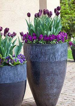 5th and state: Spring Planter Ideas Summer Planter, Spring Planter, Garden Deco, Have Inspiration, Garden Containers, Large Planters, Planting Bulbs, Dark Beauty, Slate Grey