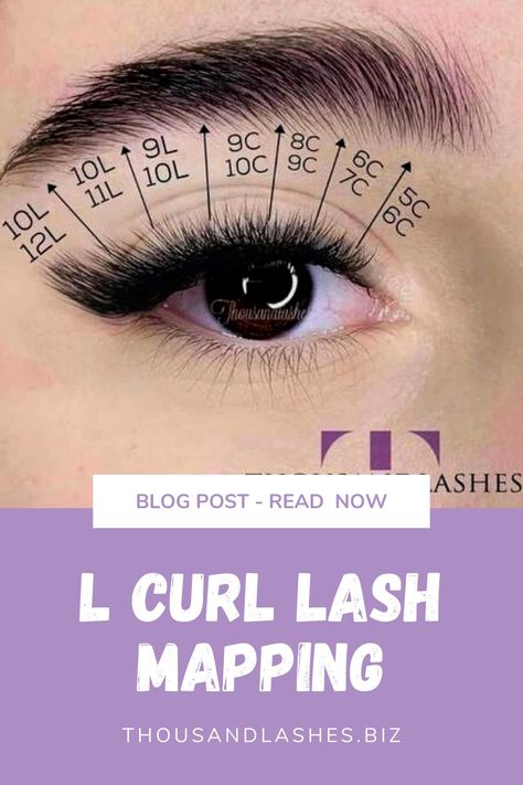 L Lash Curl, L Curl Mapping, L Curl Lashes Extensions, L Curl Lash Map, Lash Mapping Hooded Eyes, Fox Eye Lash Extensions L Curl, Eyelash Extension Curl Type, Lash Mapping For Hooded Eyes, Eyelash Extensions Styles For Hooded Eyes