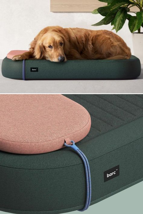 Comfy Bed for Dog Minimalist Dog Bed, Dog Beds Aesthetic, Beds Aesthetic, Aesthetic Dog Bed, Dog Bed Design, Diy Dog Beds, Cute Dog Bed, Dog Bed Ideas, Pet Gadgets