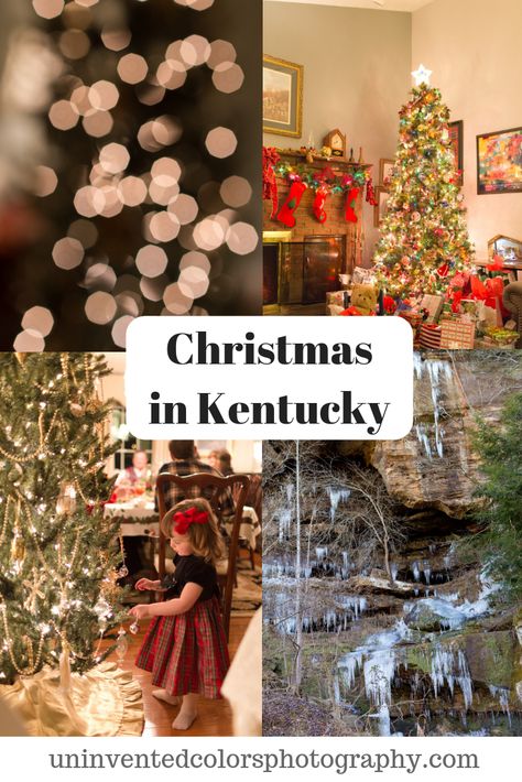 Winter In Kentucky, Christmas In Kentucky, Season Of Advent, Kentucky Christmas, Colors Photography, Advent Season, My Old Kentucky Home, Lexington Kentucky, Pinterest Party