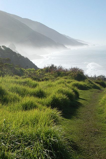 Campground at Kirk Creek, Big Sur Big Sur Marathon, Big Sur Lodge, Big Sur Camping, California Photos, American Travel, Travel Bug, California Dreaming, California Coast, Travel List