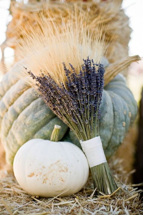 Wheat and lavender bouquet | 9 Fresh Looks At Fall Decor http://storyboardwedding.com/9-fall-decor-looks/ Lavender Bridal Bouquet, Pumpkins And Gourds, Lavender Bouquet, Rustic Wedding Bouquet, Rustic Fall Wedding, Lovely Lavender, Fabulous Fall, White Pumpkins, On The Ground