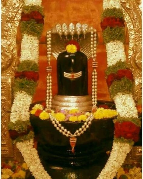 Instagram post by @chaganti_koteswararao_garu • Jan 24, 2022 at 1:56am UTC Shiva Lingam Images, Shiva Lingam Images Hd, Karpaga Vinayagar, Siva Lingam, Lord Mahadev, Lord Murugan Wallpapers, Lord Siva, Shiva Lingam, Shiva Linga