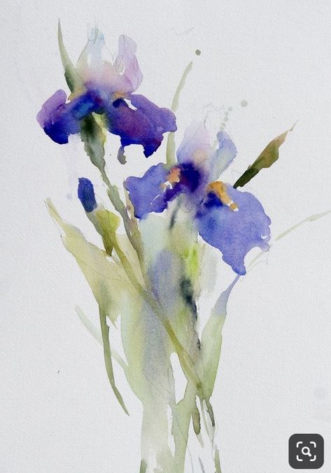 Loose Iris Watercolor Painting, Watercolour Abstract Flowers, Loose Watercolor Flowers Watercolour, Watercolor Art Flowers Beautiful, Loose Floral Watercolor Painting, Abstract Watercolor Flower, Loose Watercolor Paintings, Loose Watercolor Flowers, Iris Painting