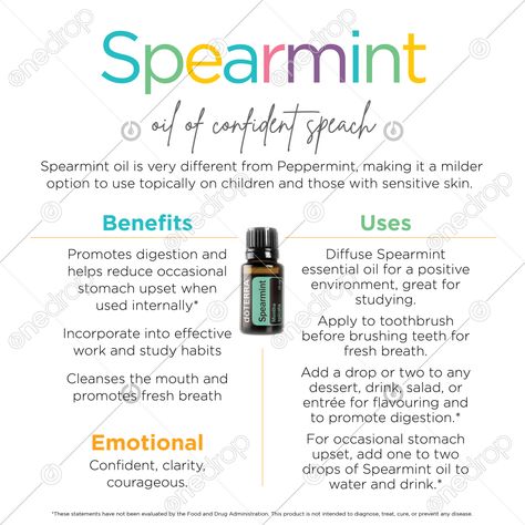 Eucalyptus Benefits, Herbal Monographs, Tea Tree Benefits, Spearmint Tea Benefits, Doterra Tea Tree, Eucalyptus Radiata, Spearmint Tea, Gum Trees, Eucalyptus Trees