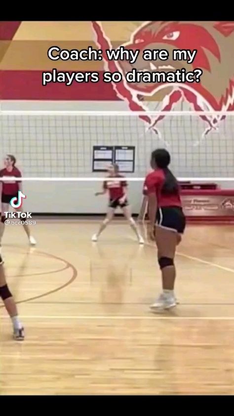 How To Dive In Volleyball, Volleyball Saves, Volleyball Pfp, Volleyball Meme, Volleyball Tiktoks, Volleyball Tiktok, Volleyball Plays, Volleyball Facts, Volleyball Videos