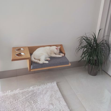 Wall Cat Bed, Cat Feeding Shelf, Food Rack, Food Shelf, Wooden Wall Shelf, Shelf Hardware, Neck Problems, Modern Cat Tree, Cat Wall Furniture