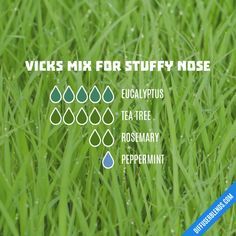 Vicks Mix for Stuffy Nose - Essential Oil Diffuser Blend Stuffy Nose Essential Oils, Essential Oils For Colds, Essential Oil Combinations, Essential Oil Diffuser Blends Recipes, Essential Oil Remedy, Essential Oils Health, Essential Oil Diffuser Recipes, Essential Oil Mixes, Essential Oil Blends Recipes