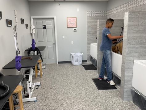 Grooming Area For Dogs, Dog Self Wash Business, Dog Grooming Parlour Ideas, Vet Room Ideas, Grooming Tubs For Dogs, Self Serve Dog Wash Business, Luxury Dog Grooming Salons, Dog Grooming Set Up At Home, Self Serve Dog Wash