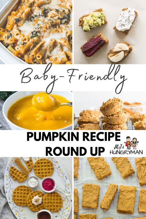 Pumpkin Recipes For Babies, Easy Healthy Pumpkin Recipes, Pumpkin Recipes For Toddlers, Leftover Pumpkin Puree, Pumpkin Baby Food, Healthy Pumpkin Recipes, Canned Pumpkin Recipes, Recipes For Babies, Pumpkin Yogurt