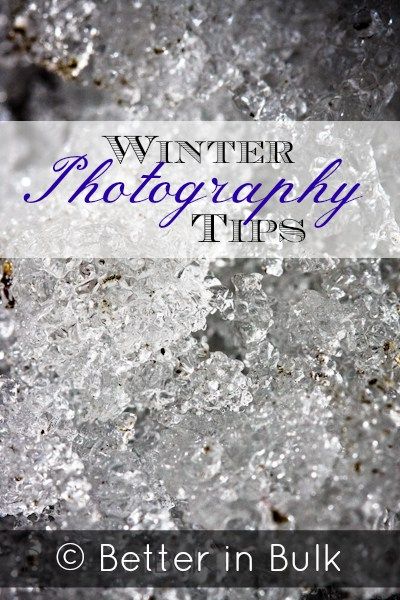 Winter photography tips Photography Help, Winter Photo, Photography 101, Photography Lessons, Learning Photography, Photography Camera, Photoshop Photography, Tampa Florida, Photography Skills