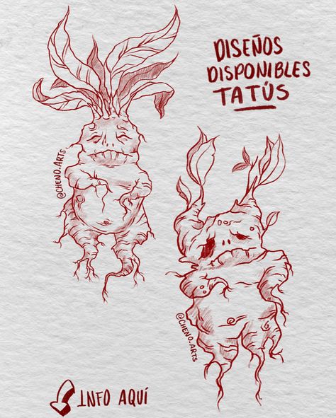 Diseños disponibles para tatus de una lindas mandragoras 🔥 📱Citas y cotizaciones 7298514024 📍Pachuca Hidalgo #tattoo #tattoos #tattoodesign #tatus #tatuajes #mandragoras #mandragora Tattoos