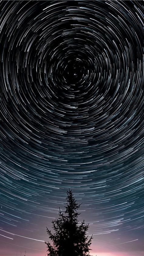 Beautiful Night Sky, Iphone Wallpaper Sky, Night Sky Wallpaper, Phone Screen Wallpaper, Star Trails, Scenic Photography, Plant Tree, Phone Gadgets, Iphone Prints